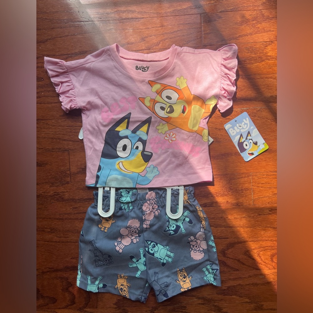NWT Lucy Pink Blue & Orange Bluey Matching Set